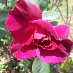 Meet your Posher, Joyce